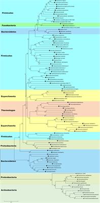 Distribution, Evolution, Catalytic Mechanism, and Physiological Functions of the Flavin-Based Electron-Bifurcating NADH-Dependent Reduced Ferredoxin: NADP+ Oxidoreductase